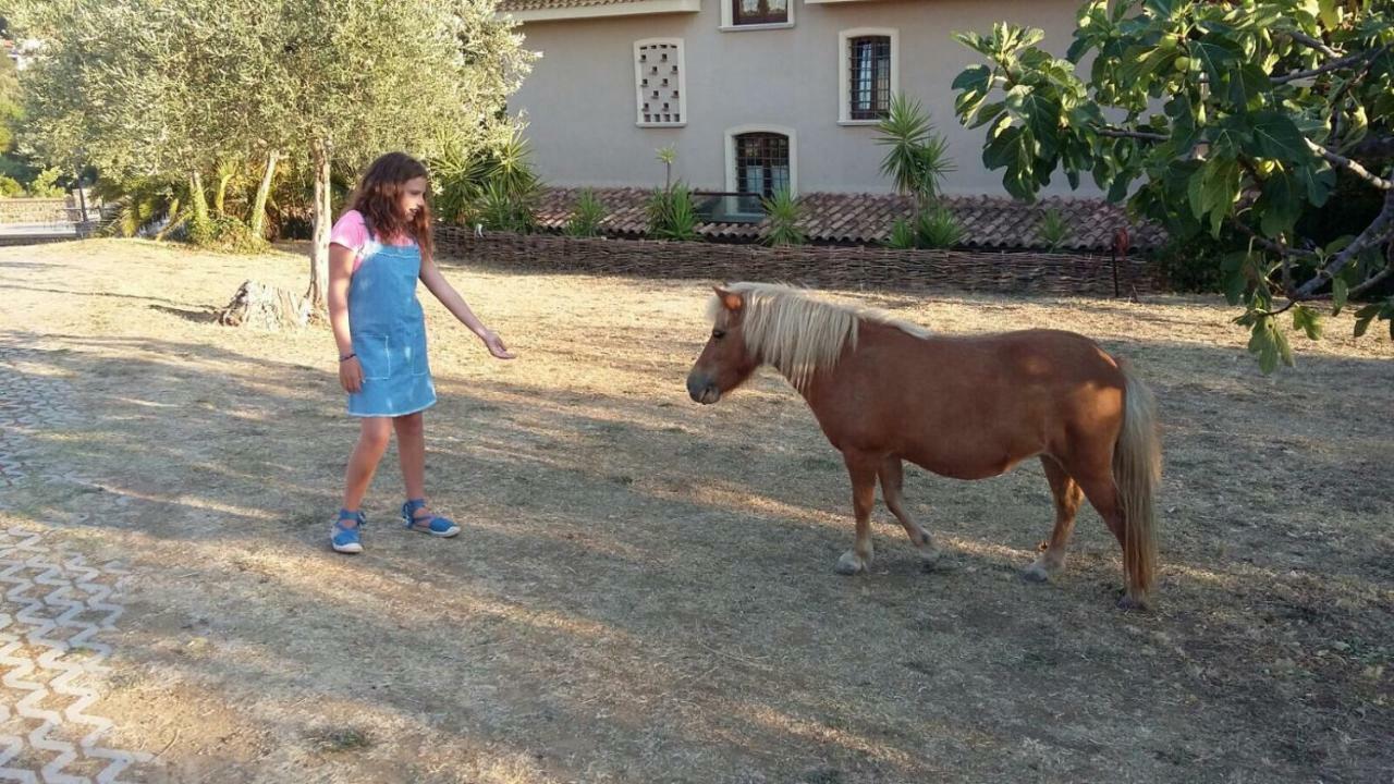 מלון Castel San Lorenzo La Ginestra מראה חיצוני תמונה